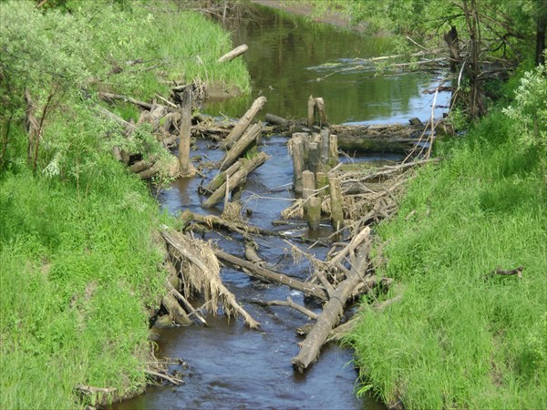 Останки старого моста через Вертенис